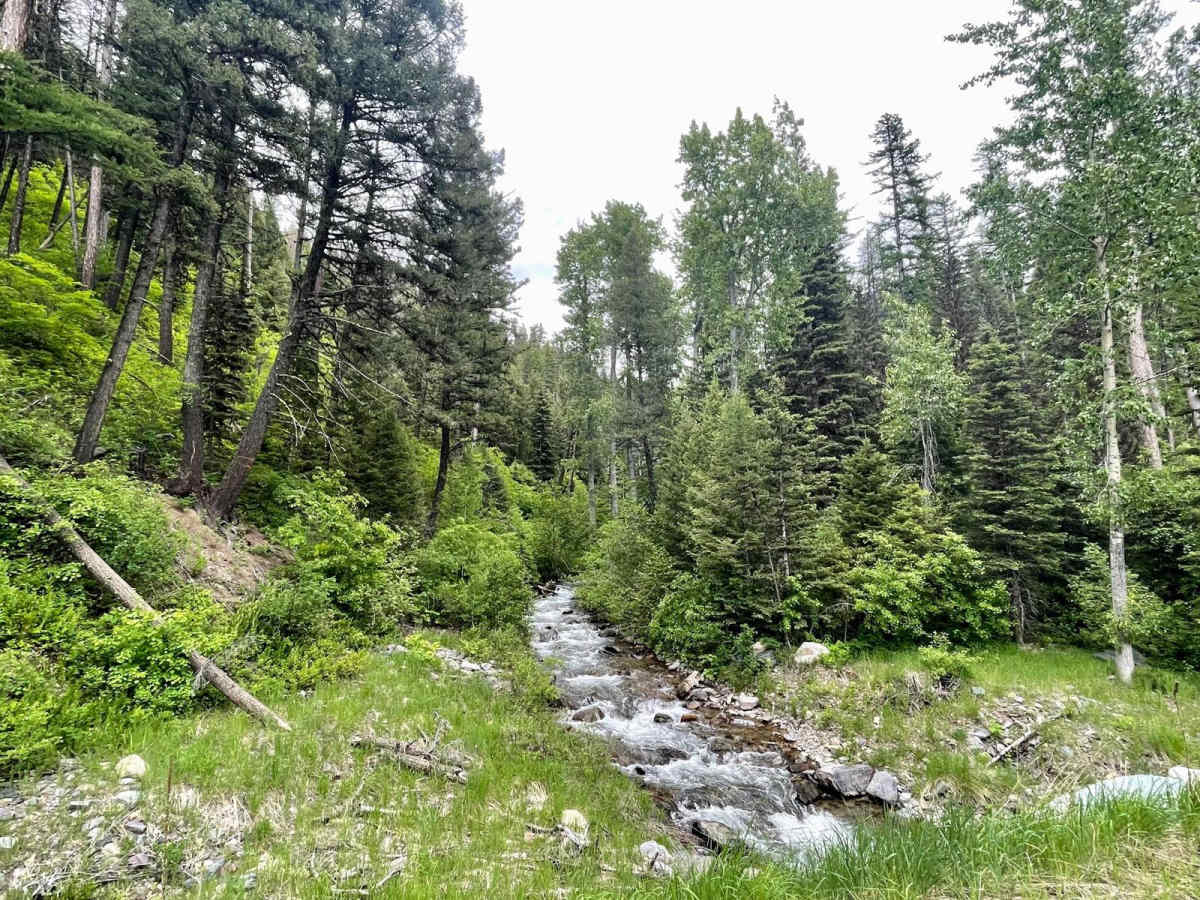 McCabe Creek photo 5