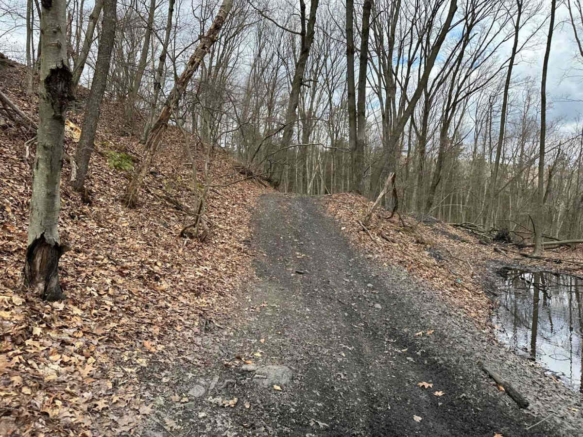 Ashland 28 photo 3