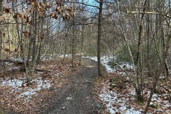 Locust Gap Single Track 1