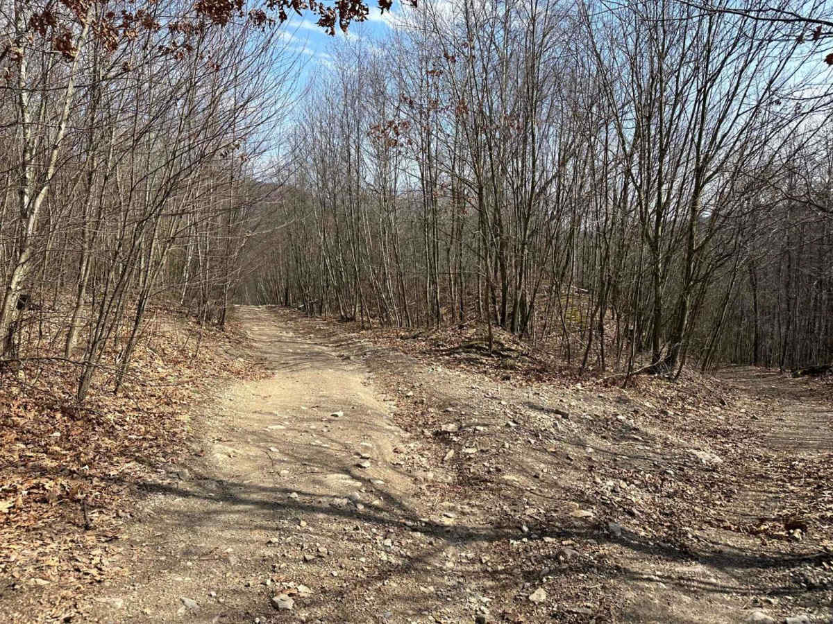 Ashland 112 trail photo