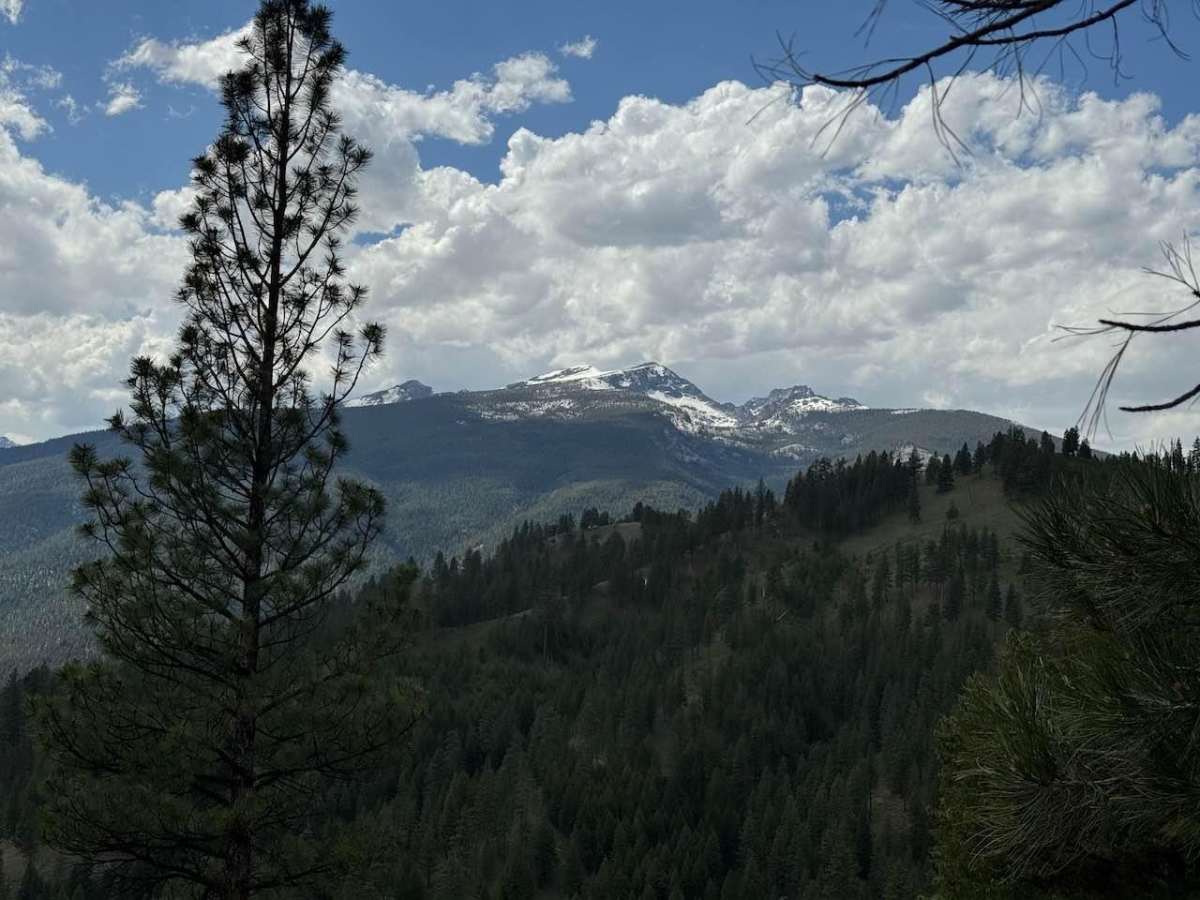 Shook Mountain photo 4