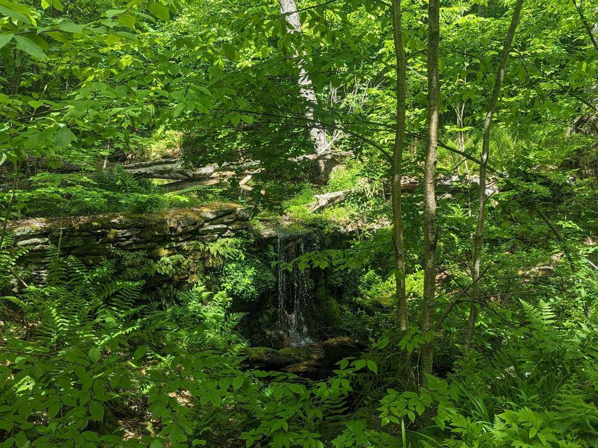 Bannis Road trail photo