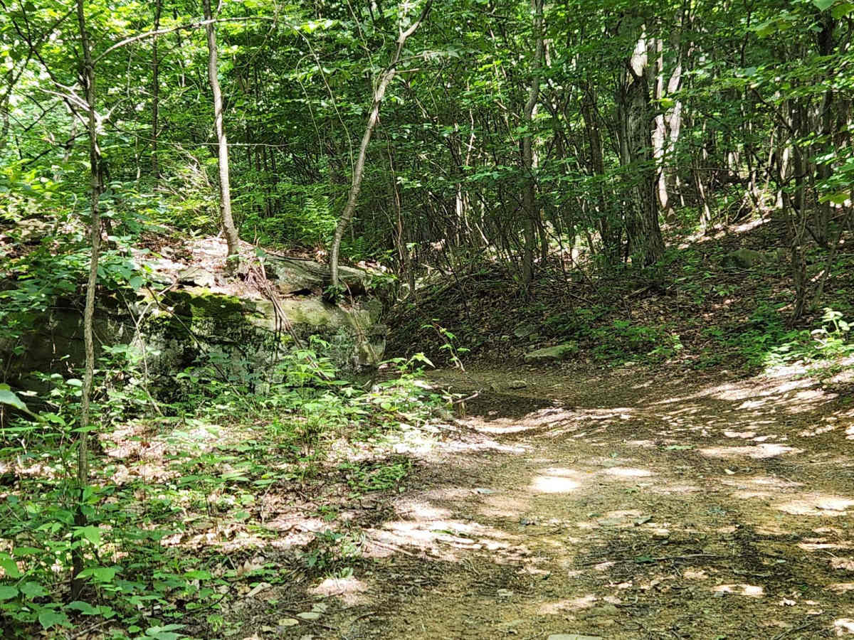 Trail 2D - Rock Run Recreation Area photo 6