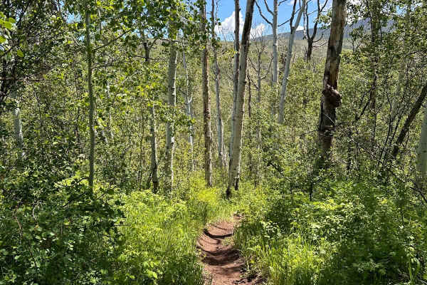 Green Gate Trail