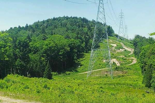 Pylon Pioneer