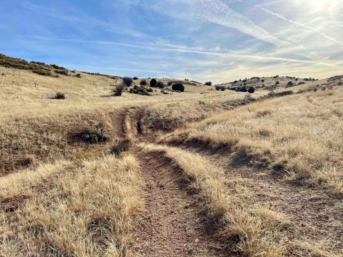 1034F Wildlife Water trail photo