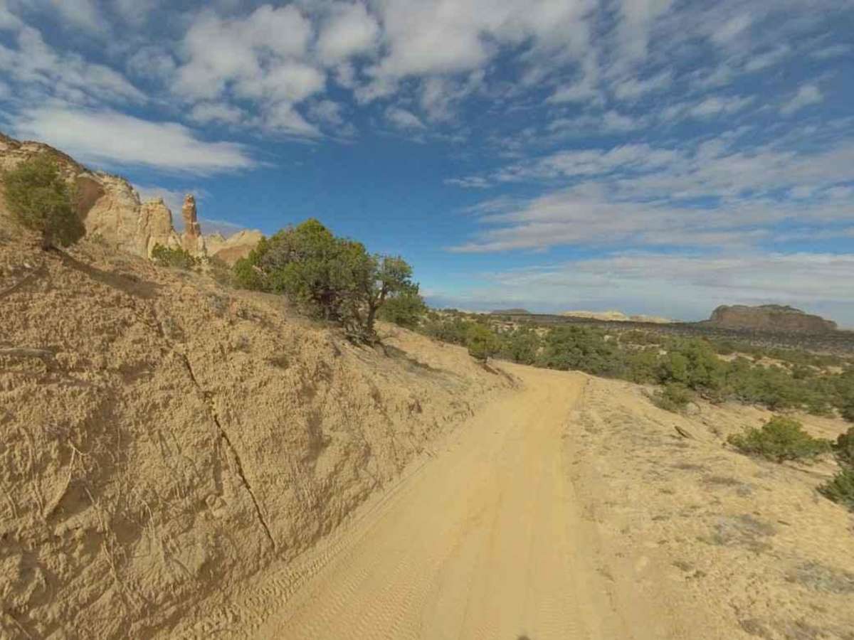 Eva Conover-BLM639 photo 6