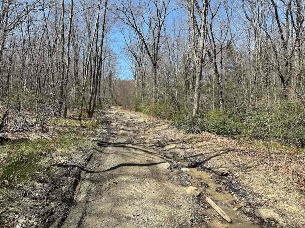 St. Keirns 51 trail photo