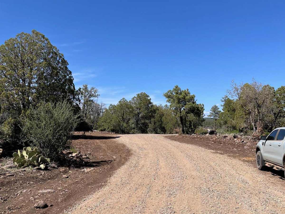 Forest Road 22 photo 3
