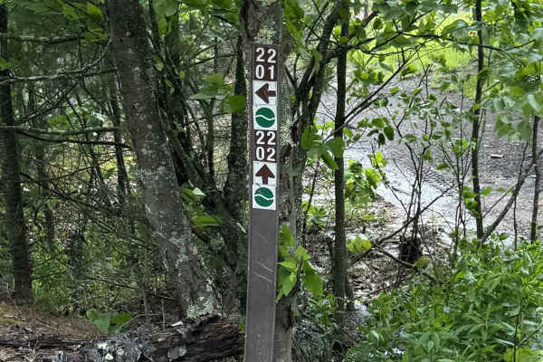 2202 Connector