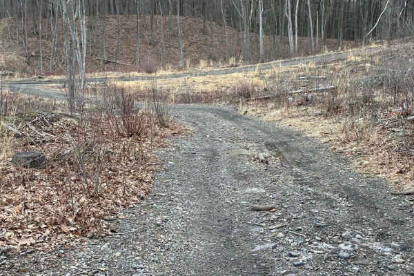 Ashland 67