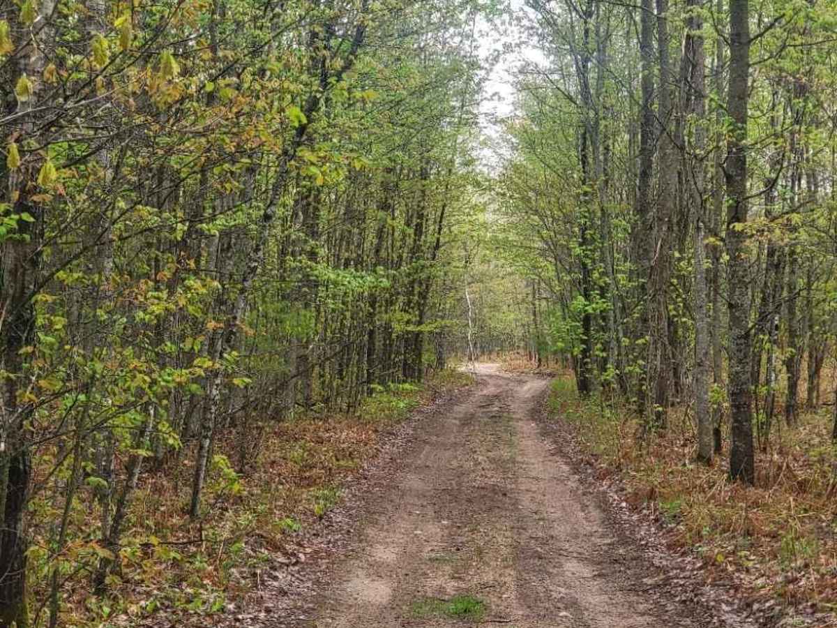 Mio ORV Route - East photo 4