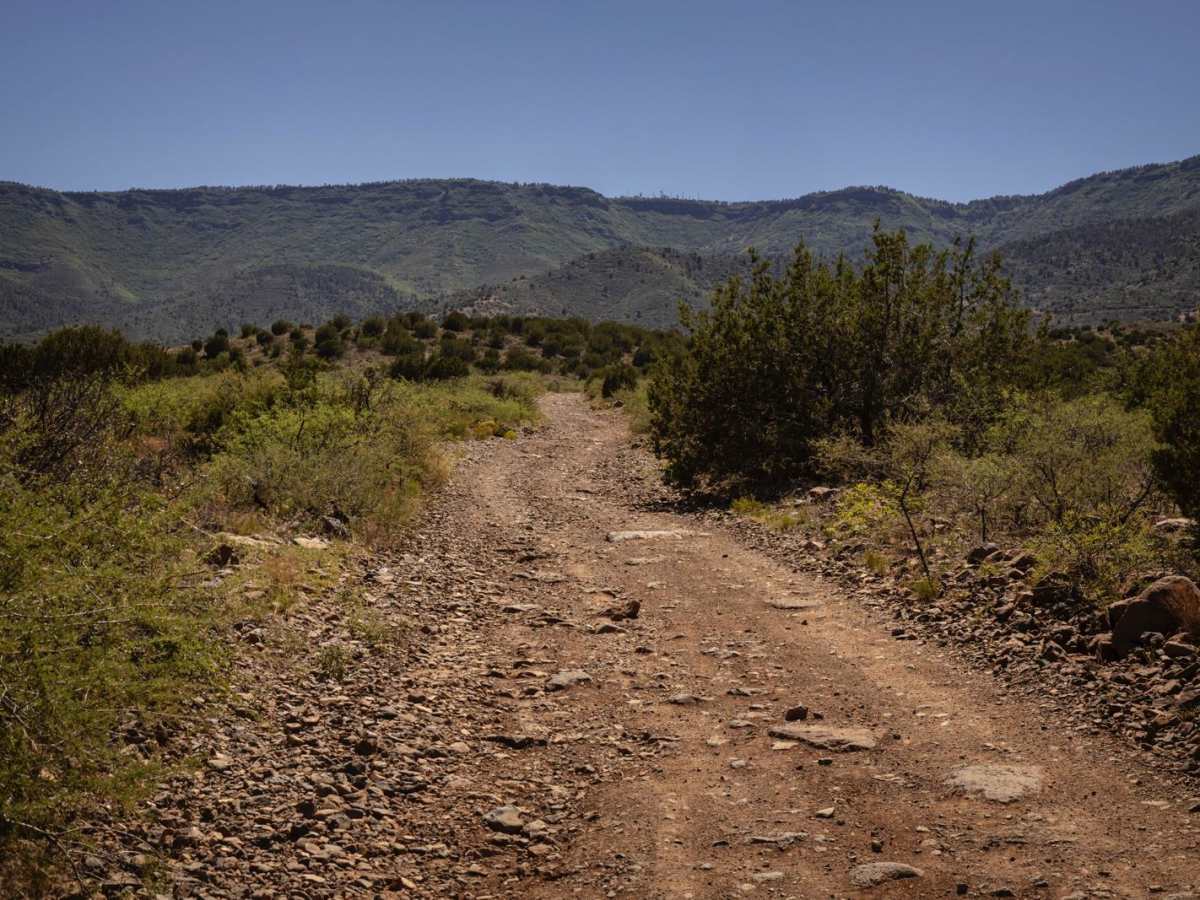 Mingus Mountain photo 3