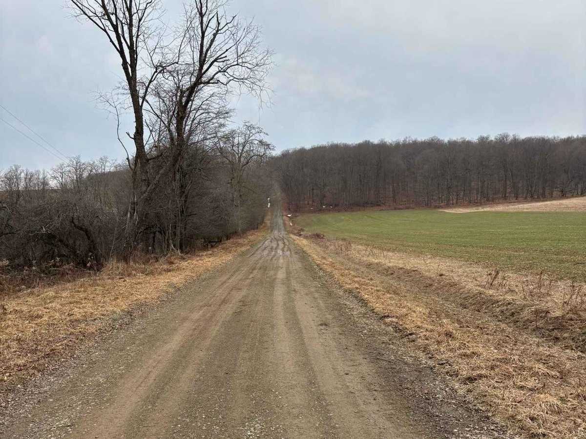 Cook Road photo 5