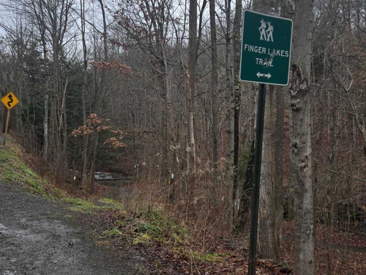 Templar Falls - Sugar Hill Road photo 2