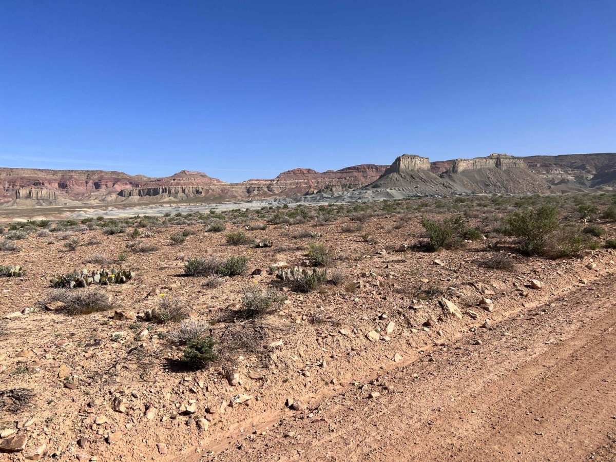 Left Hand Collett Canyon Road (BLM230) photo 3