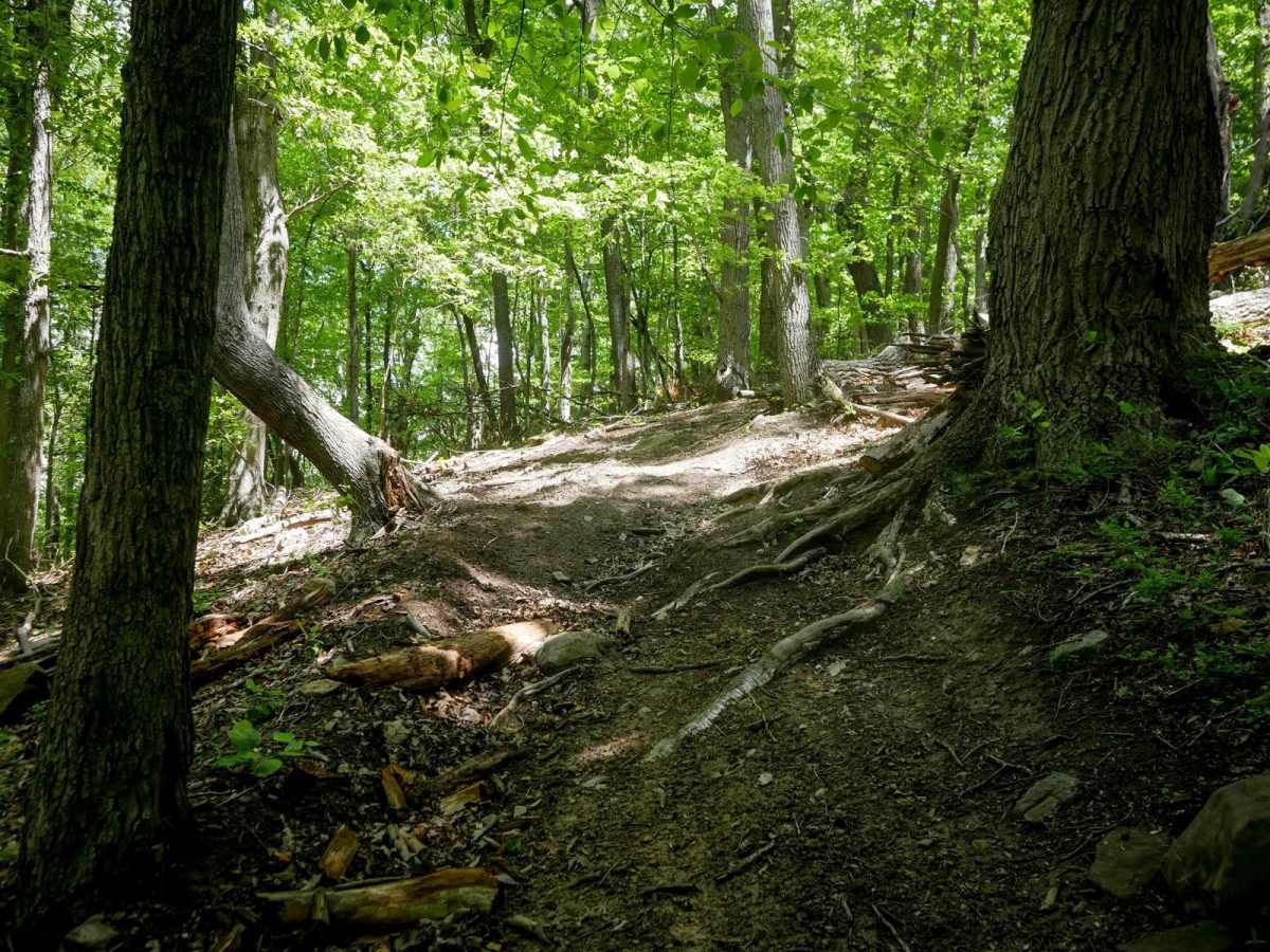 Trail 15 photo 4