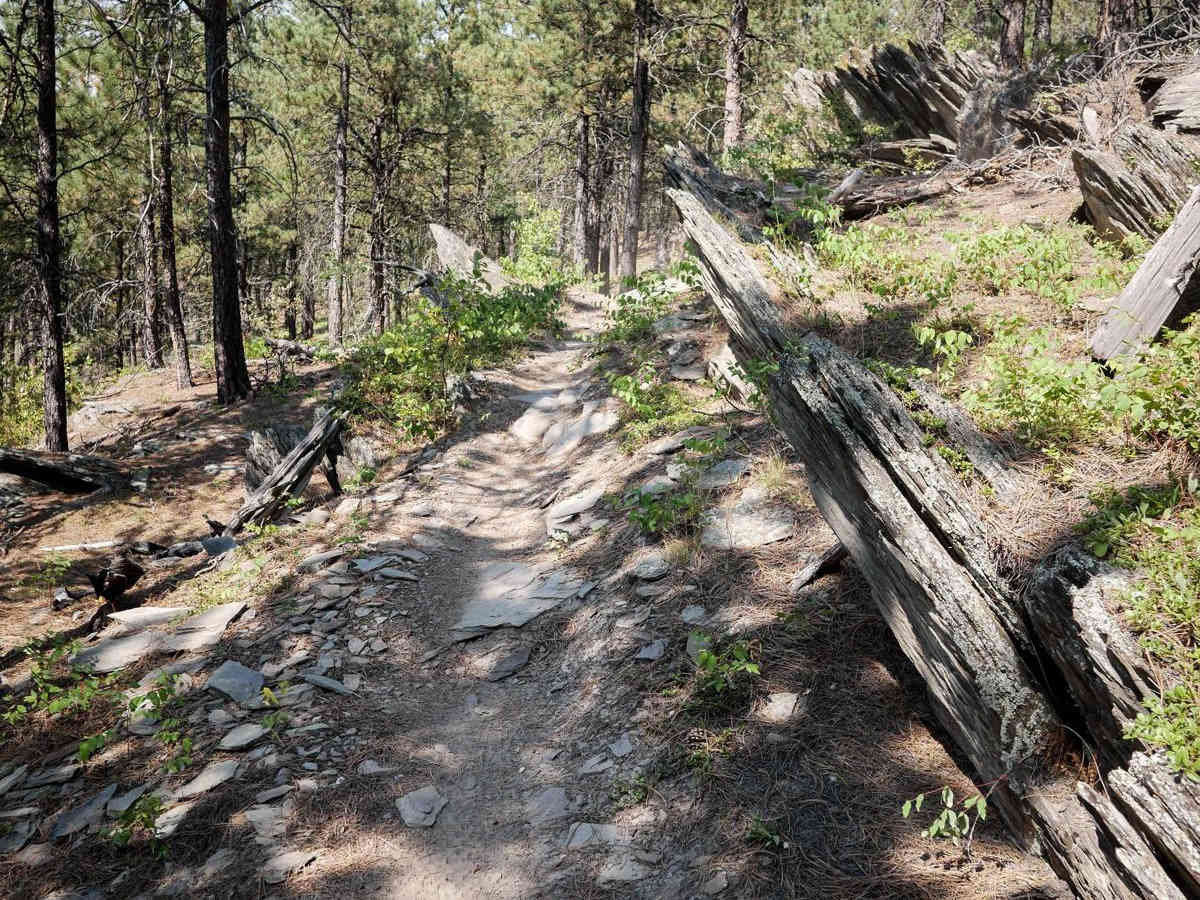 Bogus 6330 trail photo