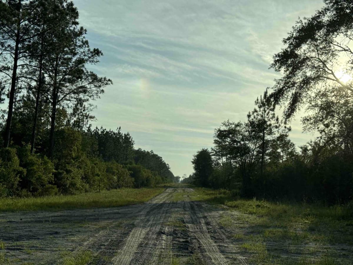 County Line Road photo 6