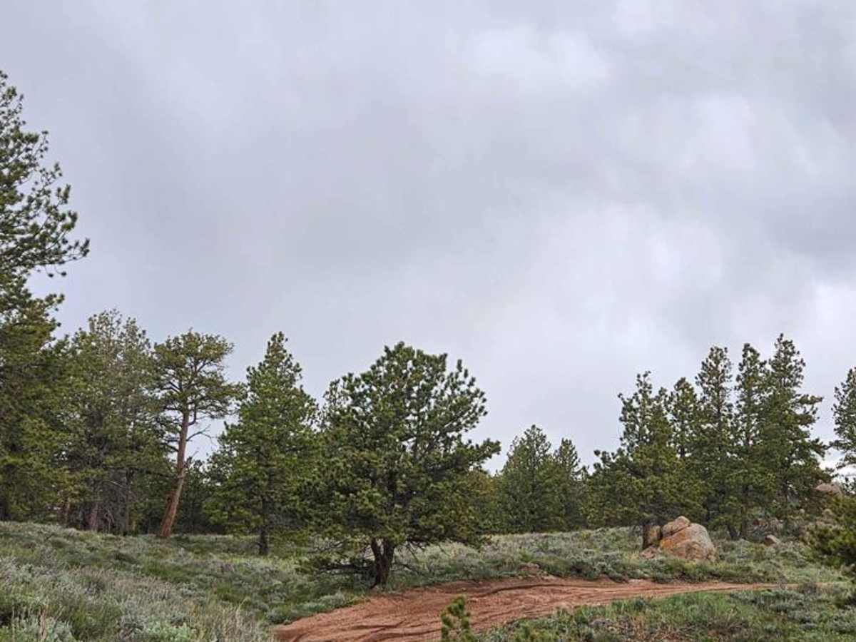 Rancher Loop photo 2