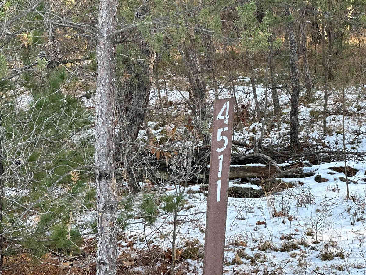 FS 4511 Loop trail photo