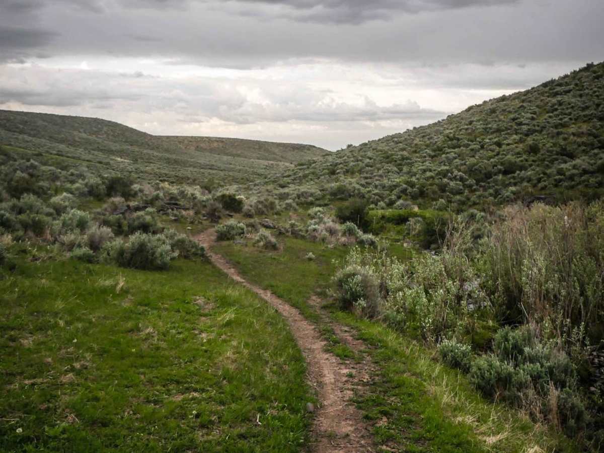 Upper Dry Gulch photo 6