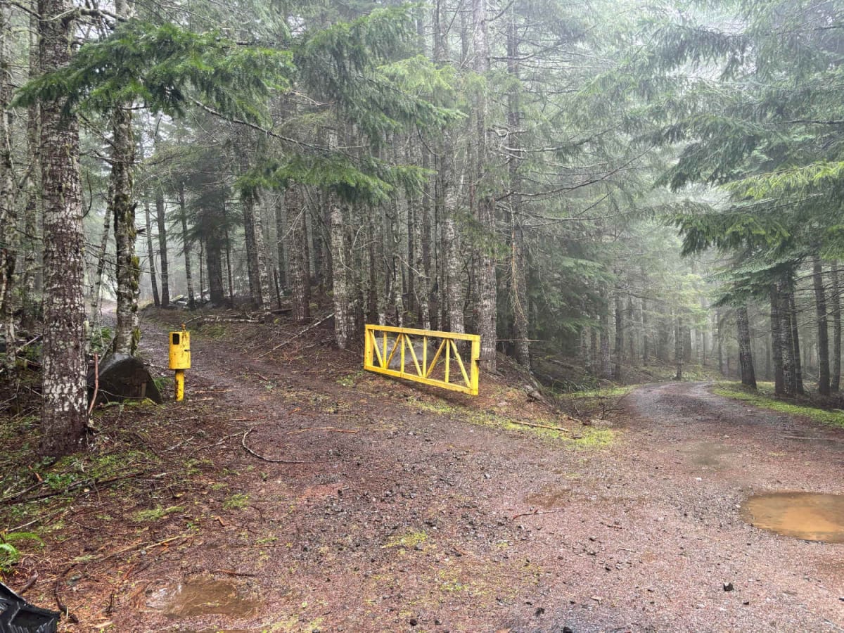 Bald Mountain photo 2