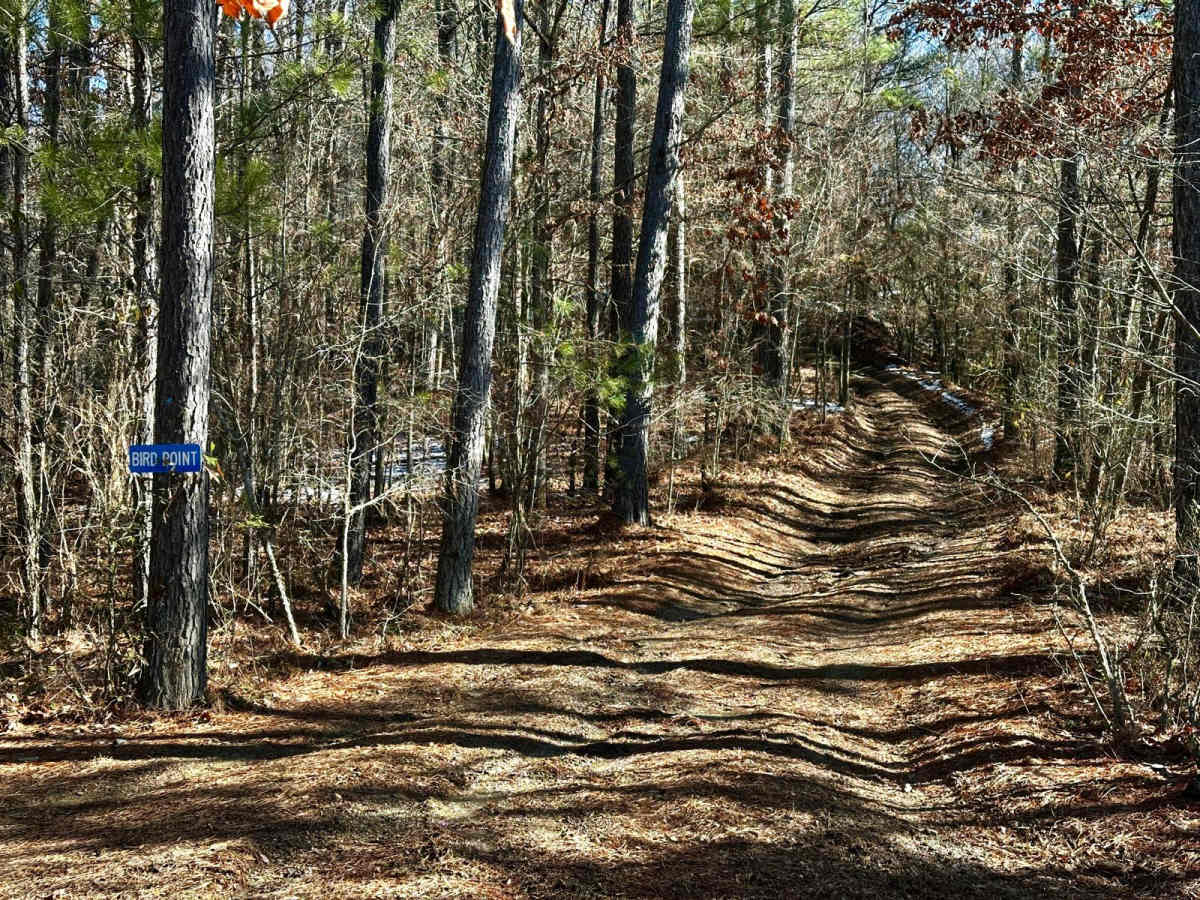 Bird Point trail photo