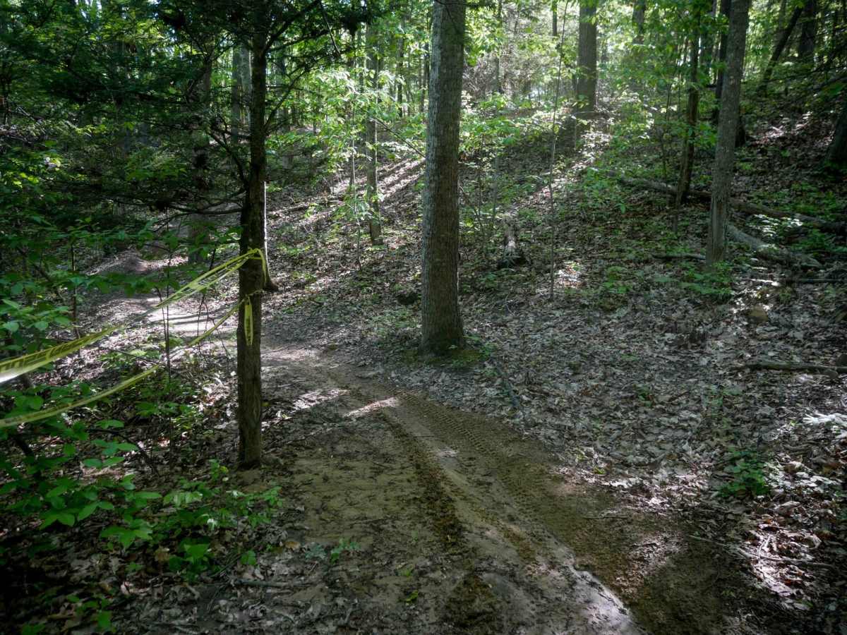 Single Track 2 trail photo