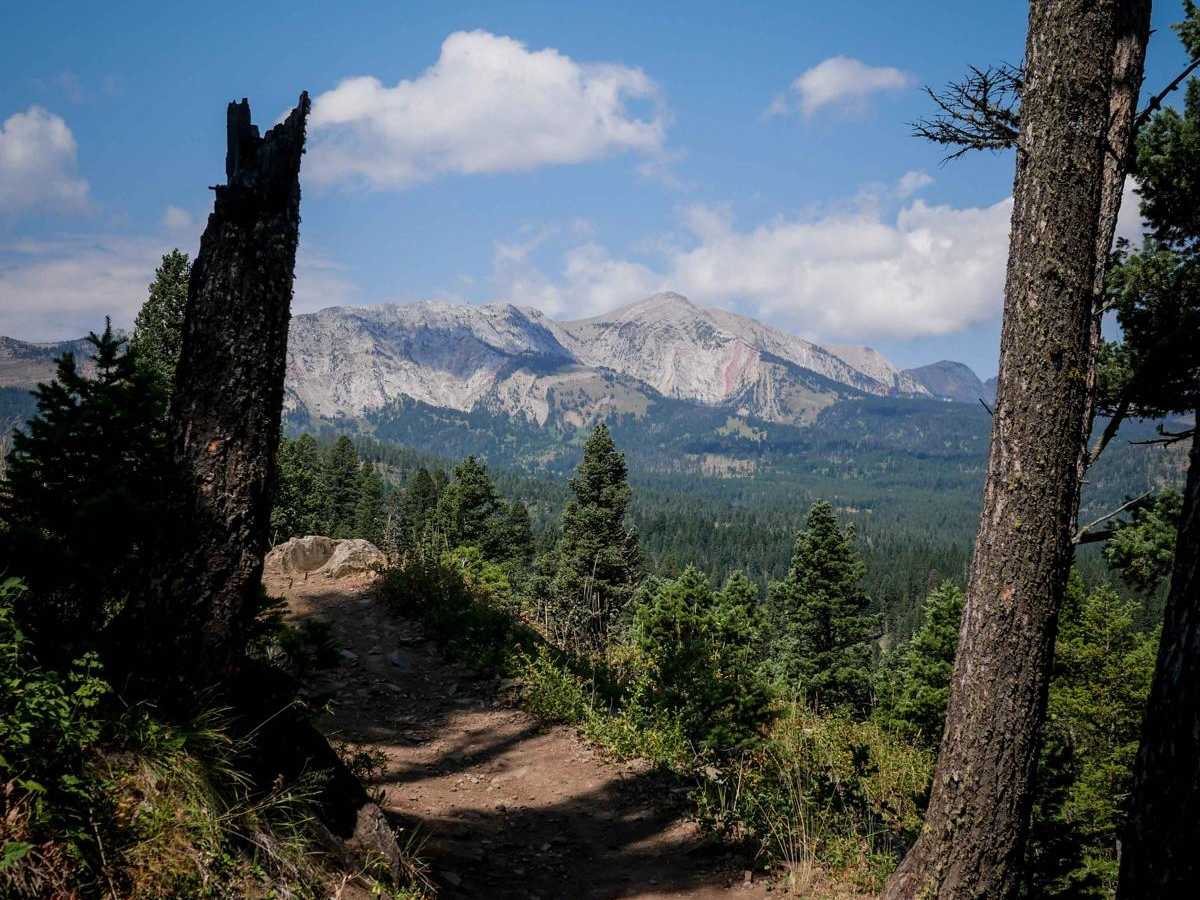 Bangtail Divide Trail #504 trail photo
