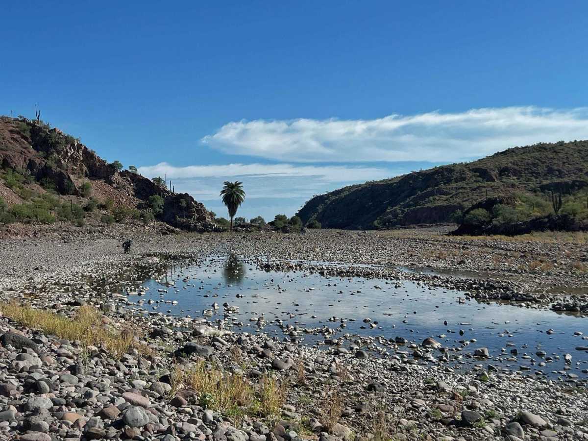 San Borjas trail photo
