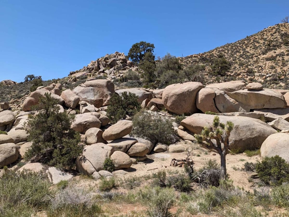 Spur Roads - BLM C2319 - C2352 trail photo