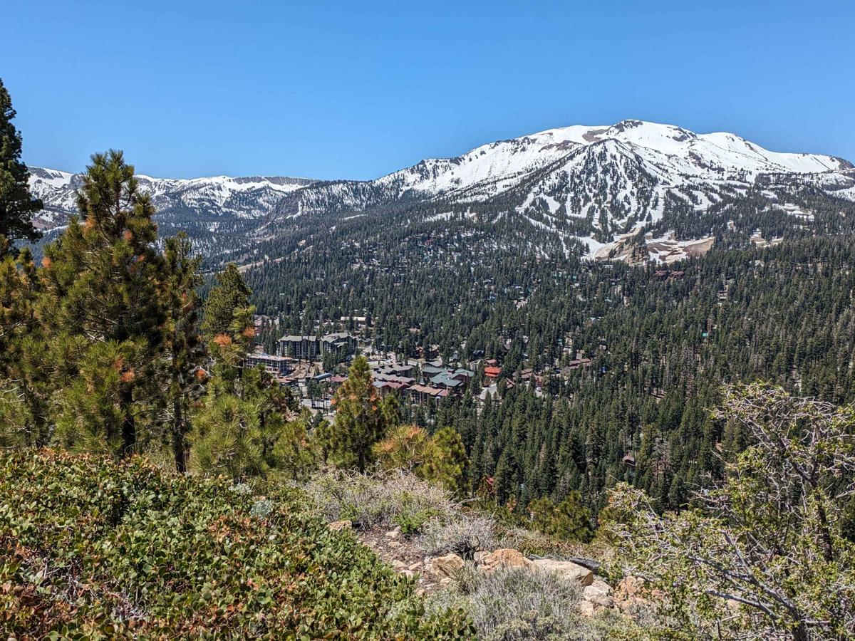 Mammoth View 3S34 trail photo