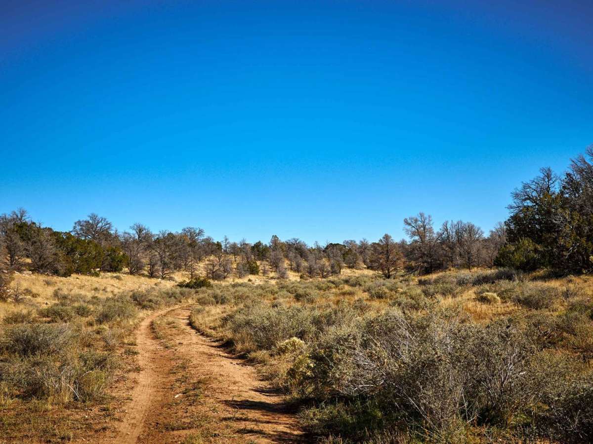 Old 2742 Road photo 6