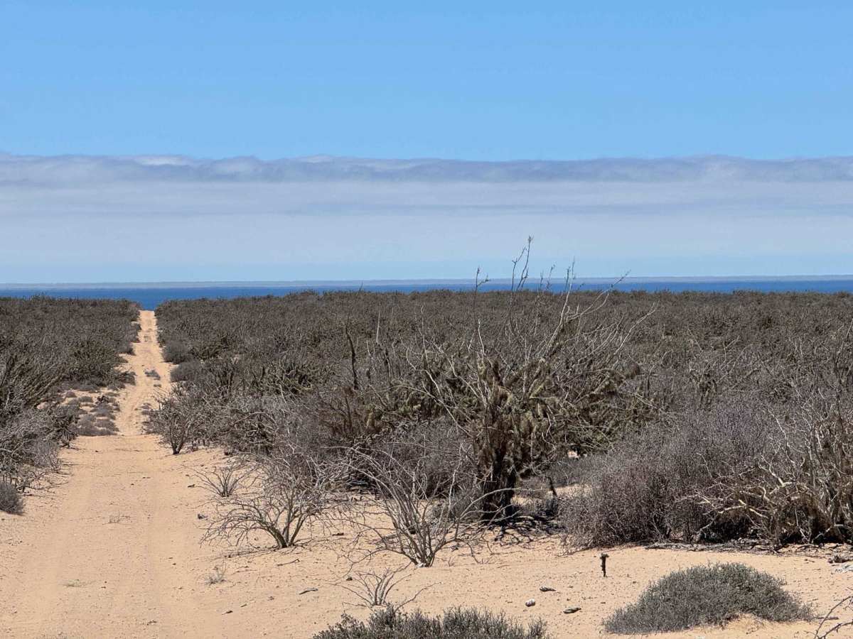 Southwest Coastal trail photo