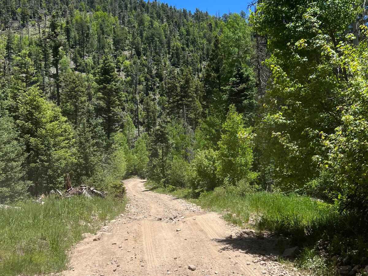 Greenie Peak to Red River - FS 54K photo 4
