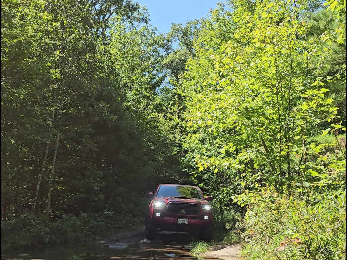 Kelly Lake Trail photo 5