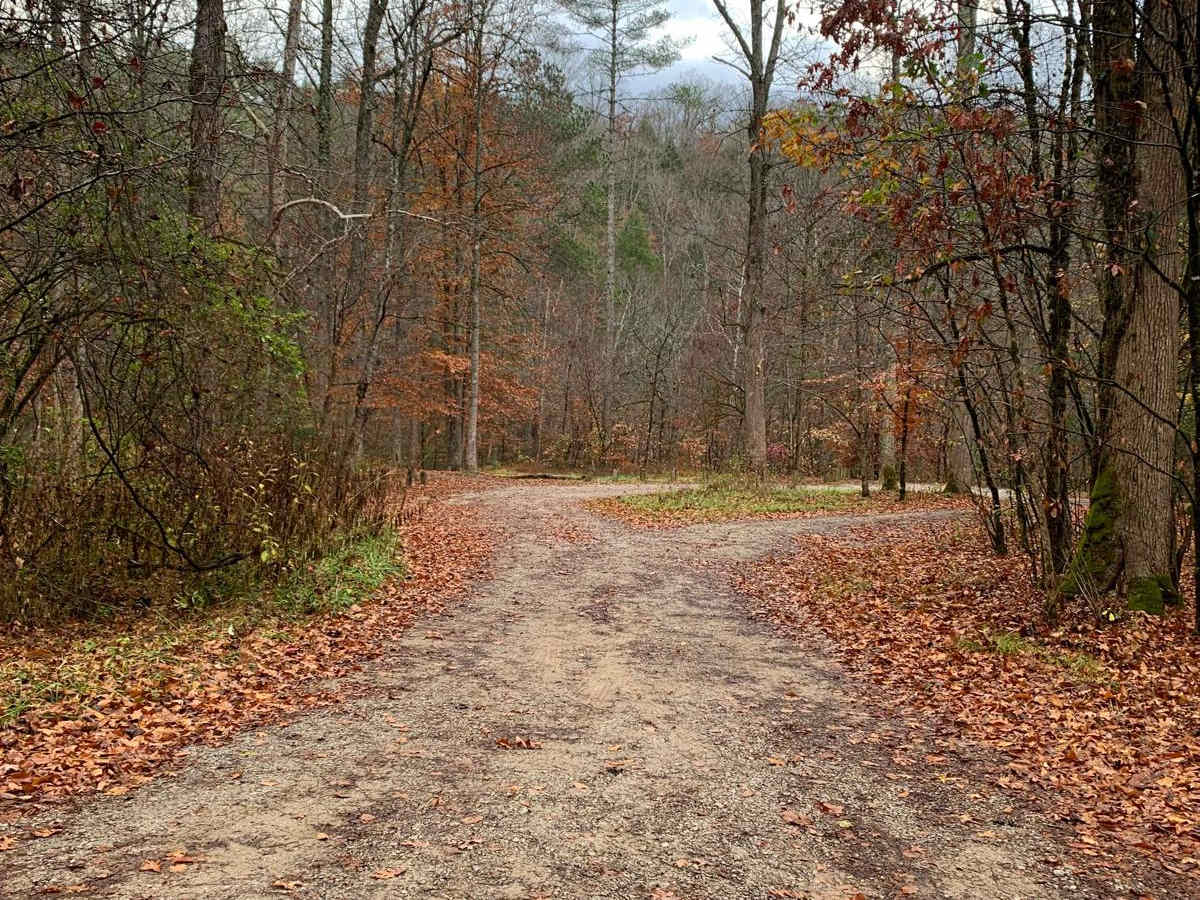 Spring Creek FSR 27 photo 4