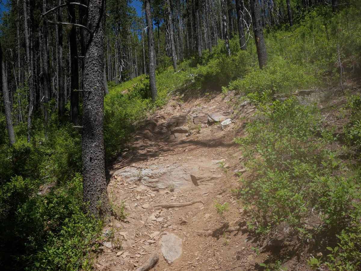 White Woman trail photo