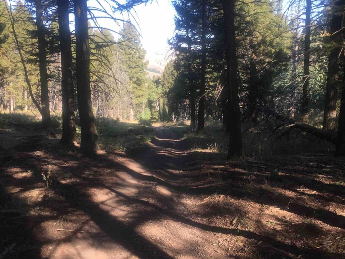 Van Noy-Stoddard Trail trail photo