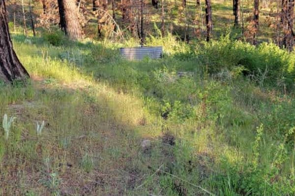 Plimco Mine Road at Spade Way