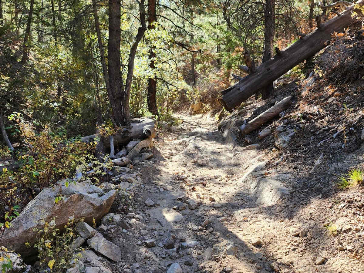 Camp Jackson Trail photo 2