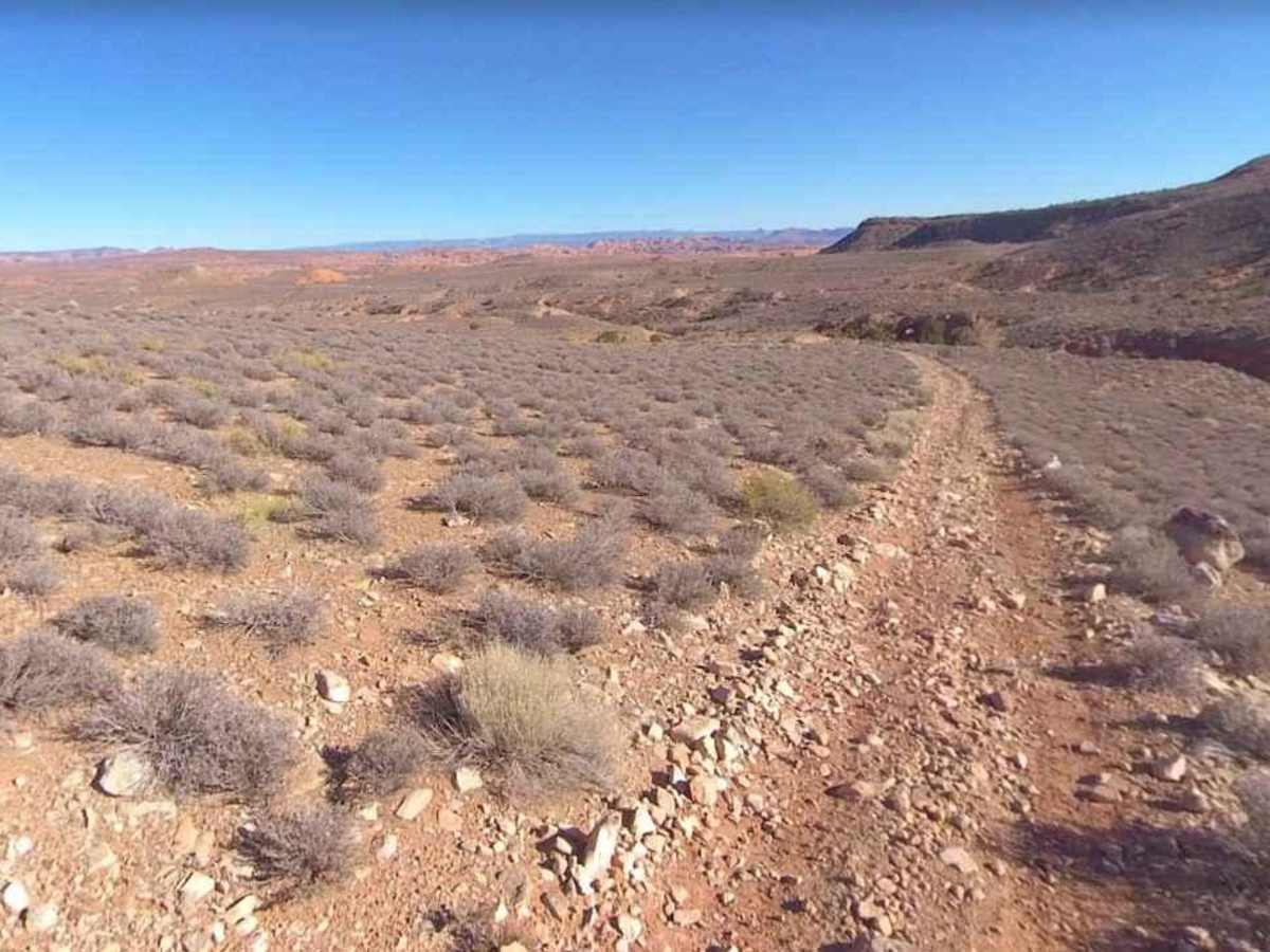 BLM13870 photo 5