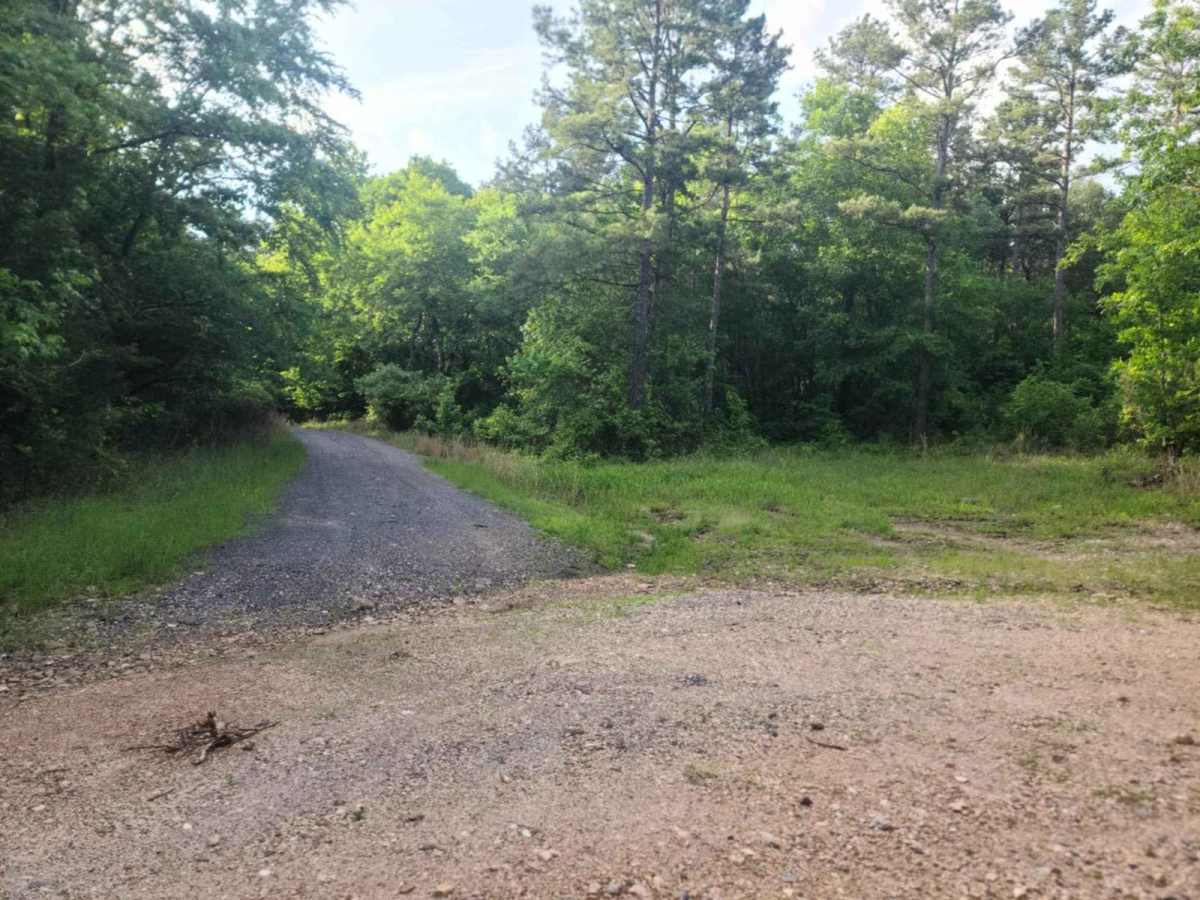 M95/Bent Chickenhouse Spur trail photo