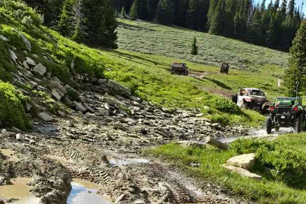 Fools Creek (FSR 178) - Ice Creek (FSR 142)