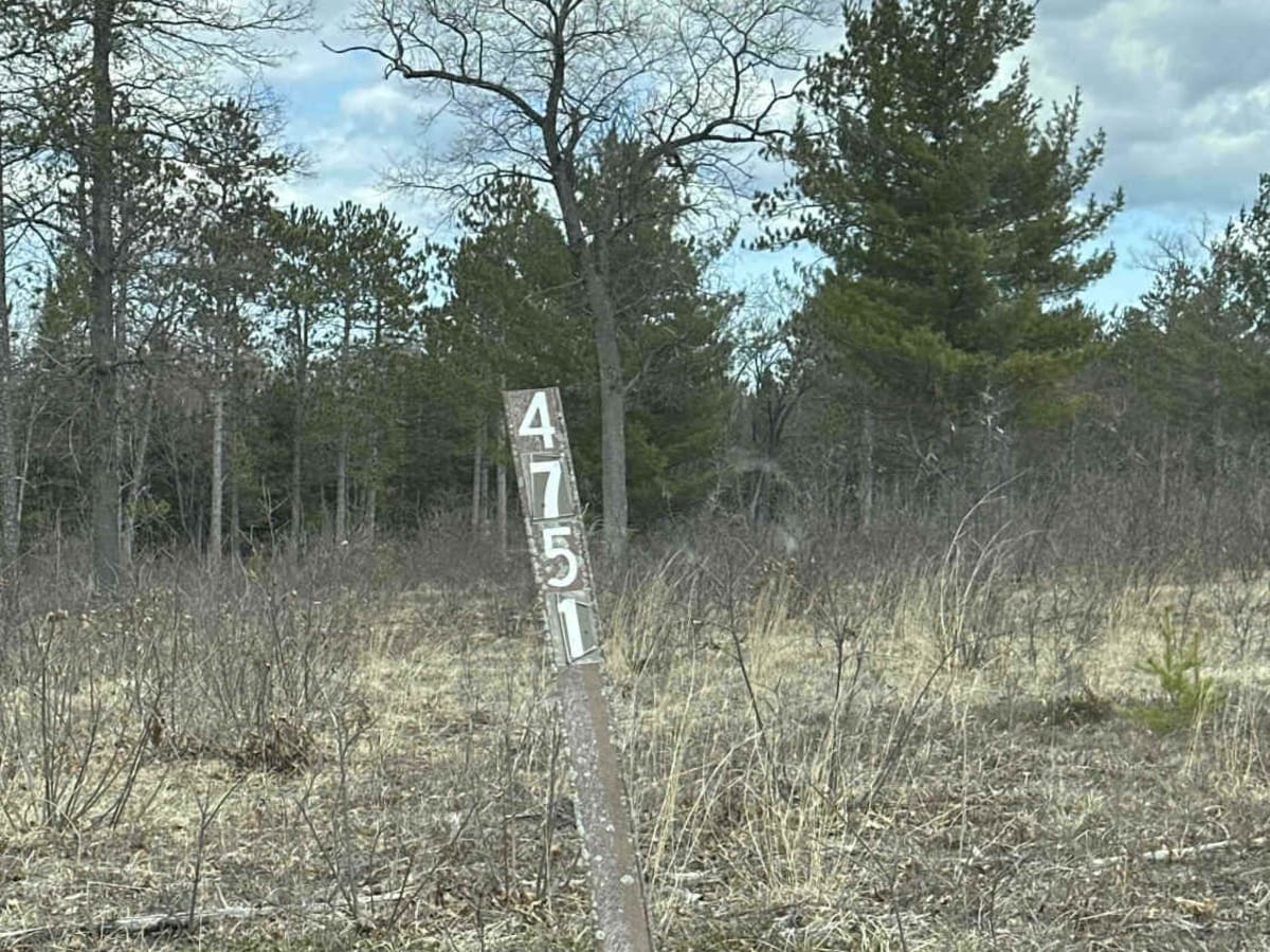FS 4571 trail photo