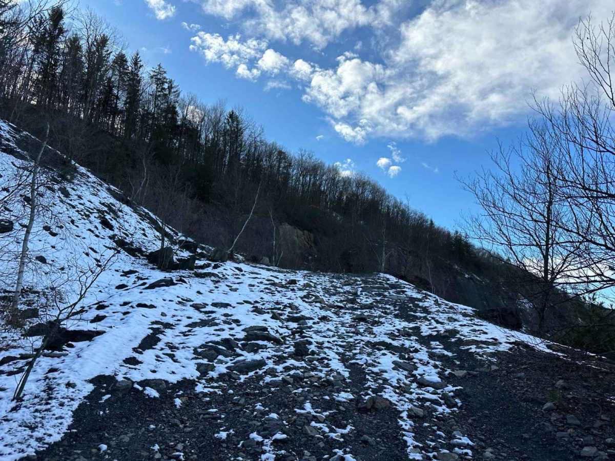 Locust Gap 35 photo 4