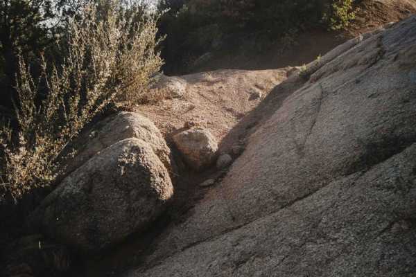 Trail 3