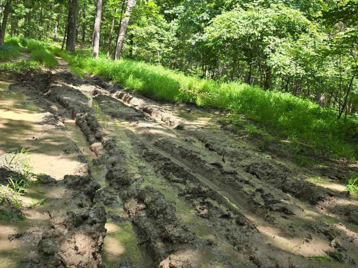 Smith Mill Hollow - FS 2877 photo 4