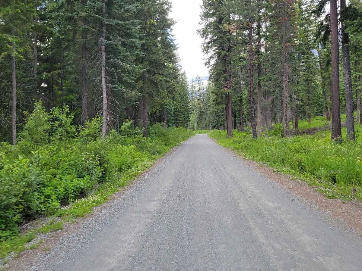 FR 4440 - Twisp River Road photo 3